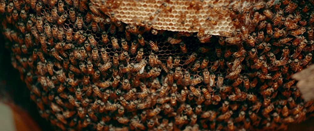 レット・ゼム・オール・トークの画像