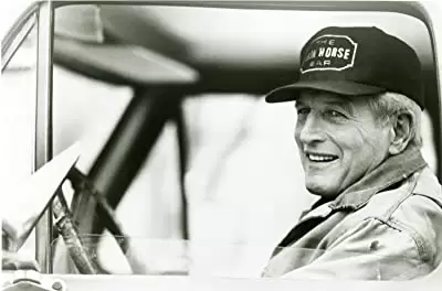 ノーバディーズ・フールの画像