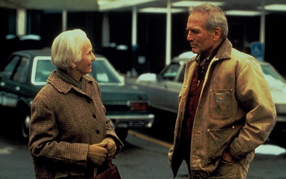 ノーバディーズ・フールの画像