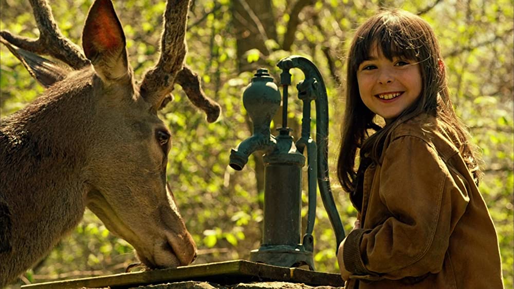 グランパ・ウォーズ おじいちゃんと僕の宣戦布告の画像