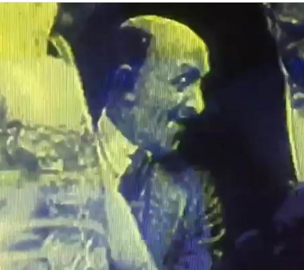 「愚なる妻」の画像