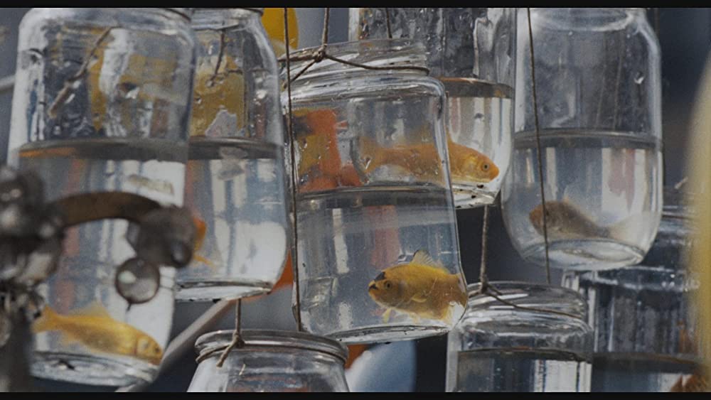 小さな恋のメロディの画像