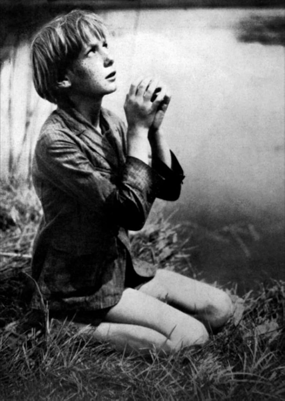 にんじんの画像