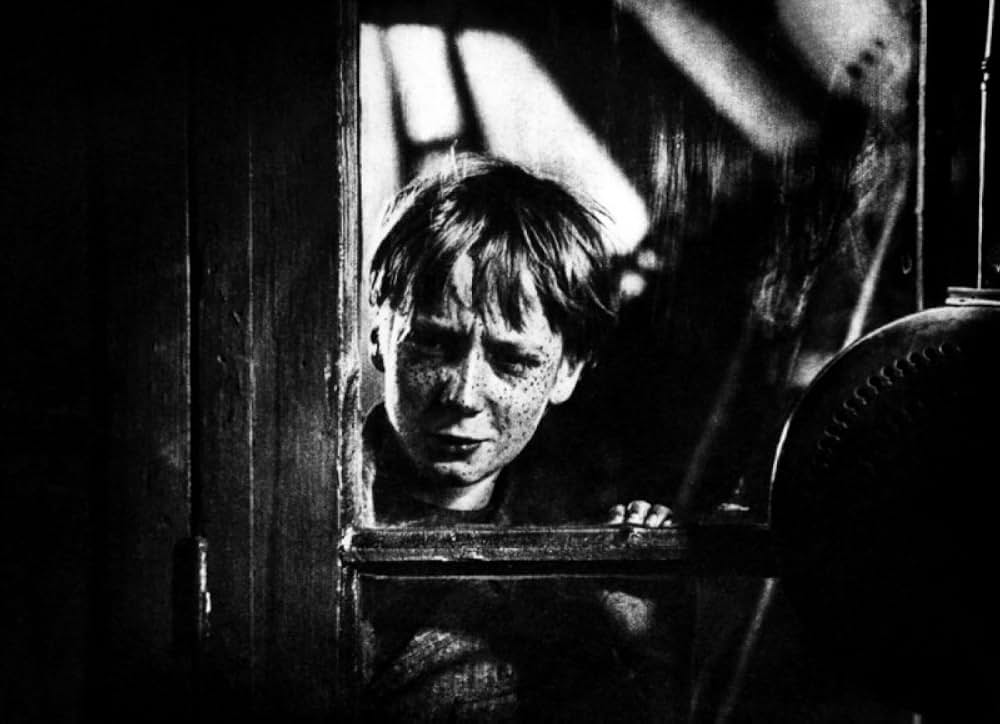 にんじんの画像