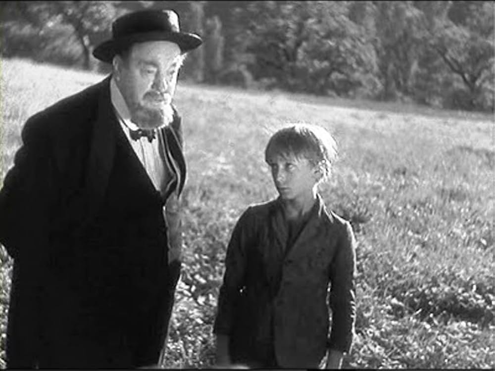 にんじんの画像