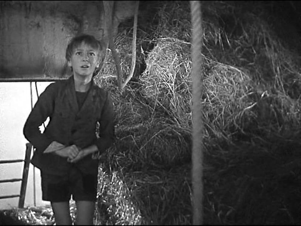 にんじんの画像