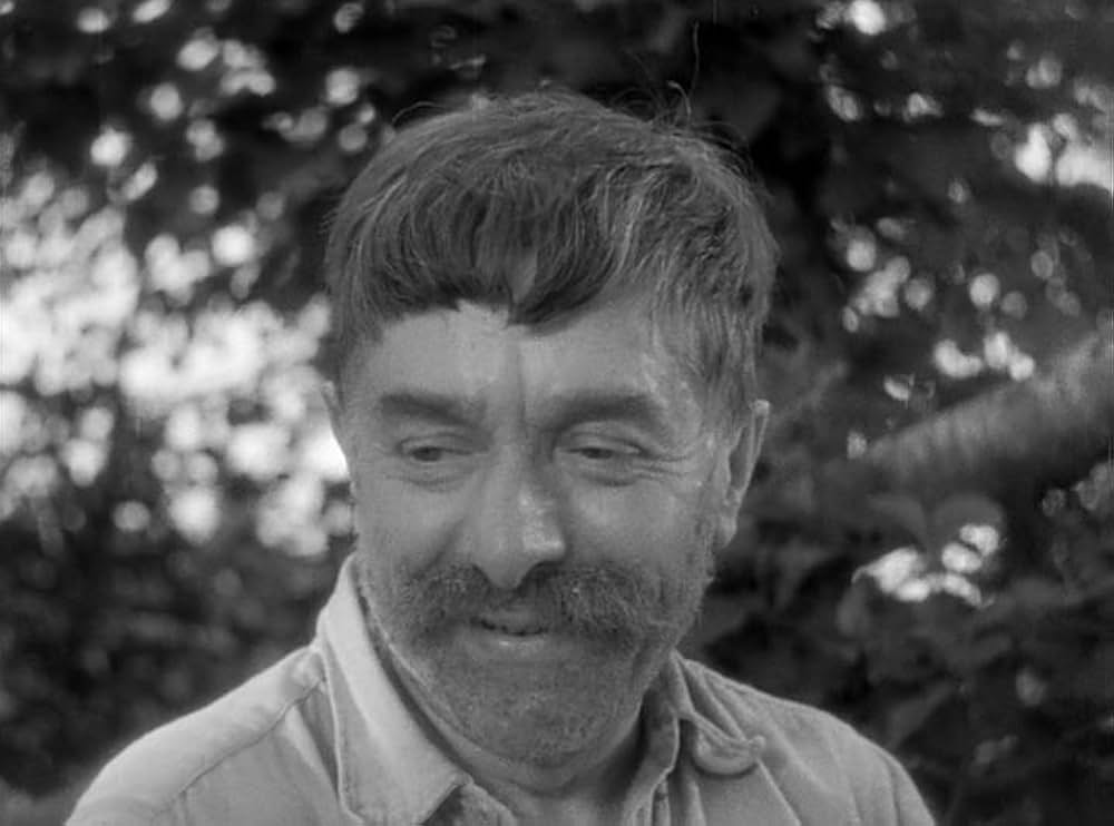 にんじんの画像