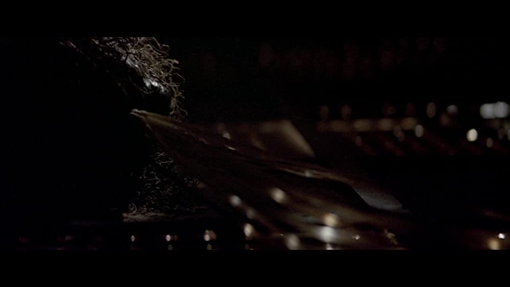 「ボディ・スナッチャーズ」の画像