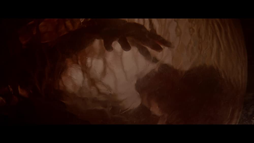 「ボディ・スナッチャーズ」の画像