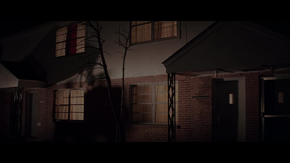 「ボディ・スナッチャーズ」の画像