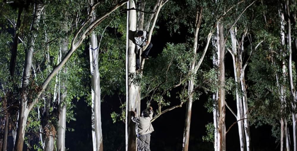 名探偵ゴッド・アイの画像