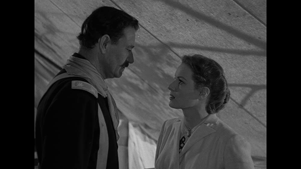 リオ・グランデの砦の画像