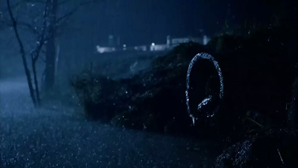 「ショーシャンクの空に 4Kデジタルリマスター版」の画像