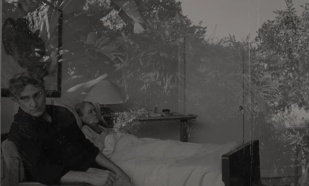 カモン カモンの画像