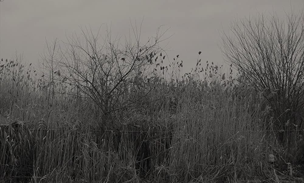 カモン カモンの画像