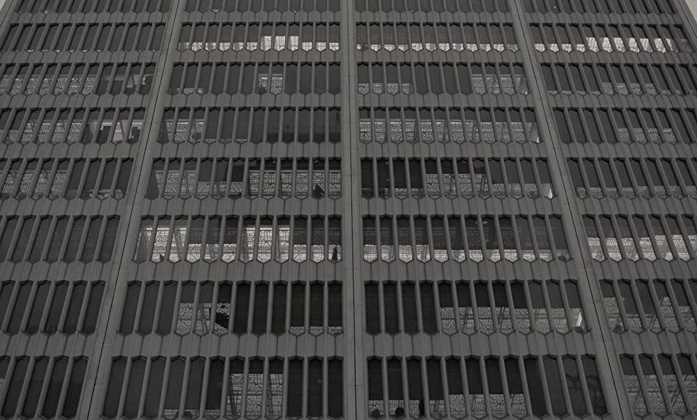 カモン カモンの画像