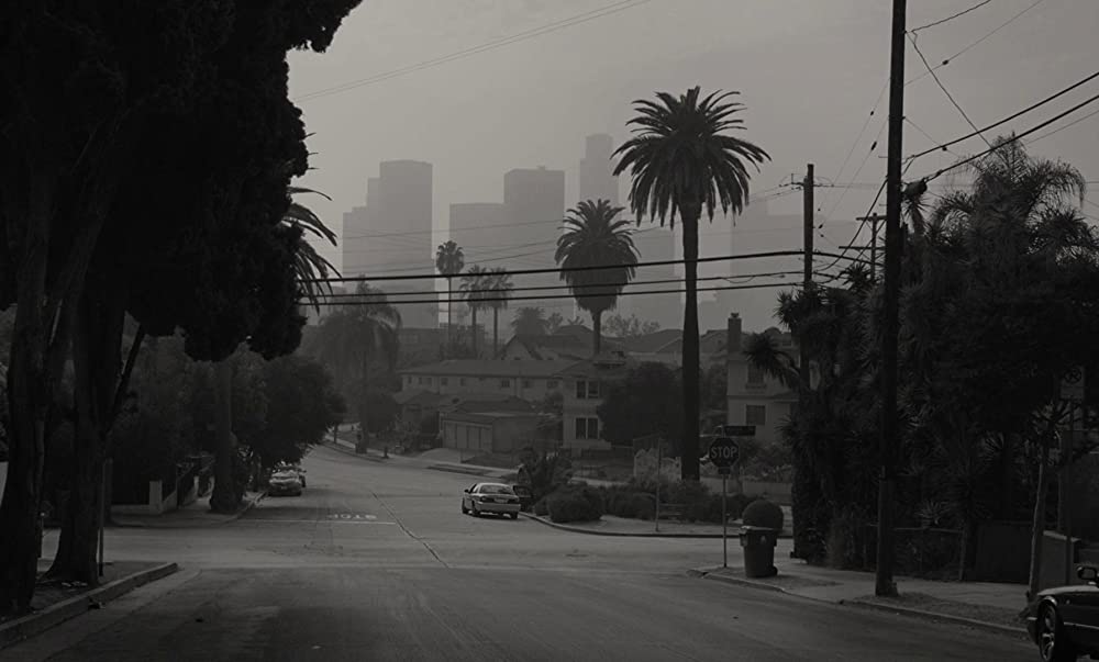 カモン カモンの画像