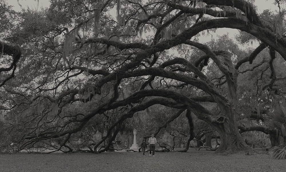 カモン カモンの画像