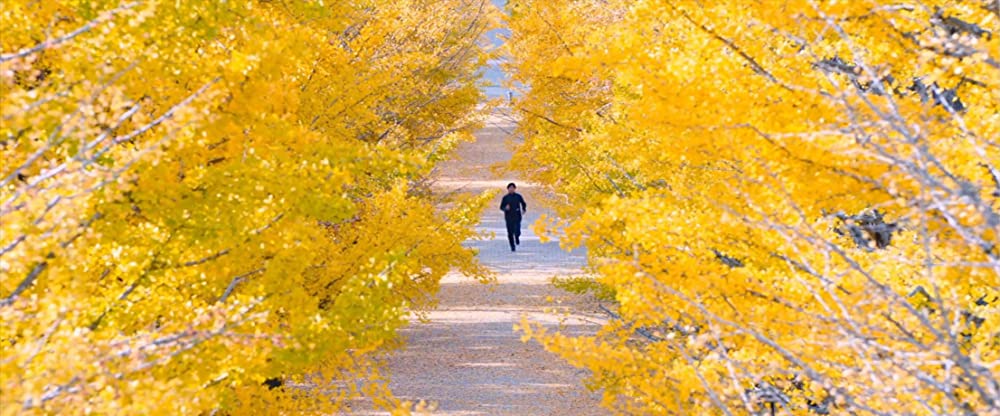 ALIVEHOON アライブフーンの画像