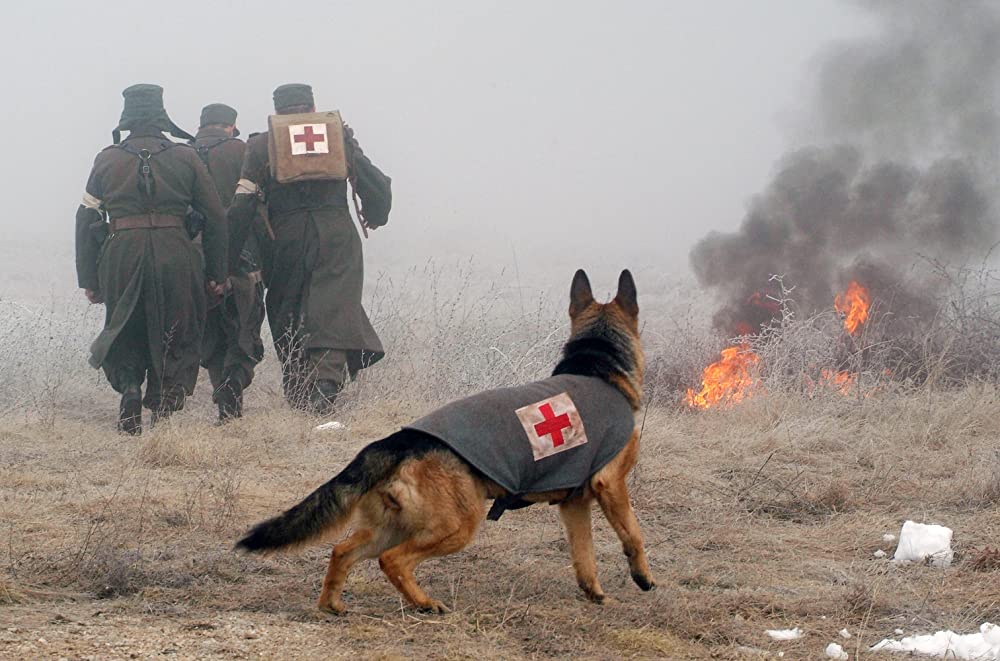 「名犬リンチンチン」アタナス・スレブレフ & Ryan Spike Dauner & Vladimir Mihailovの画像