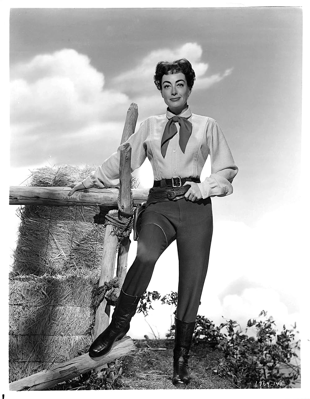 「大砂塵」の画像