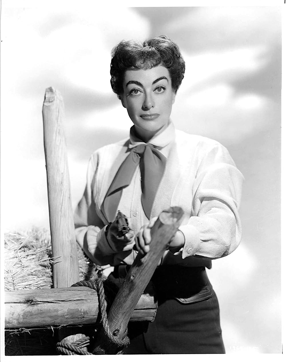 「大砂塵」の画像