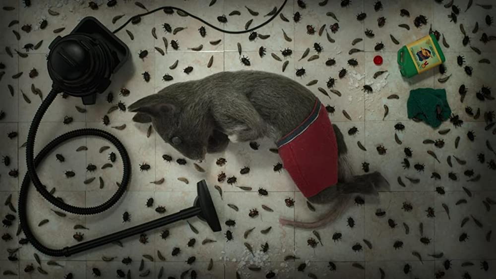 家をめぐる3つの物語の画像