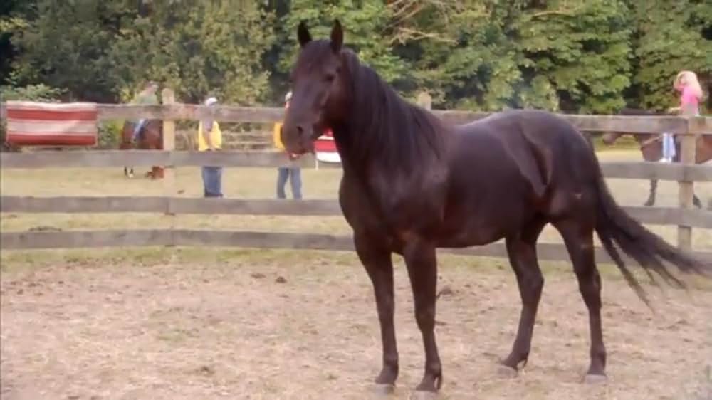 ドクター・ドリトル3の画像