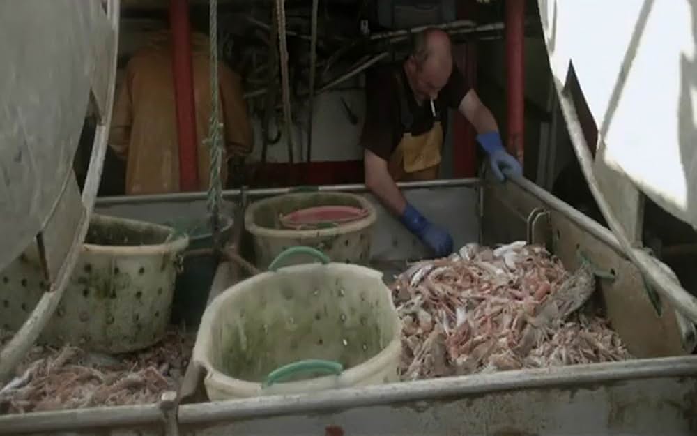 0円キッチンの画像