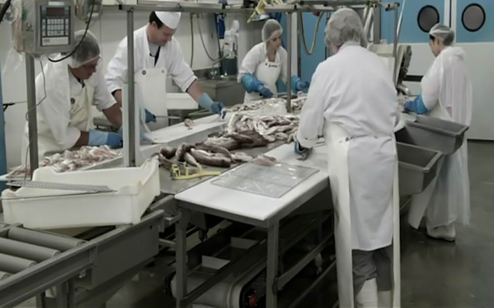 0円キッチンの画像