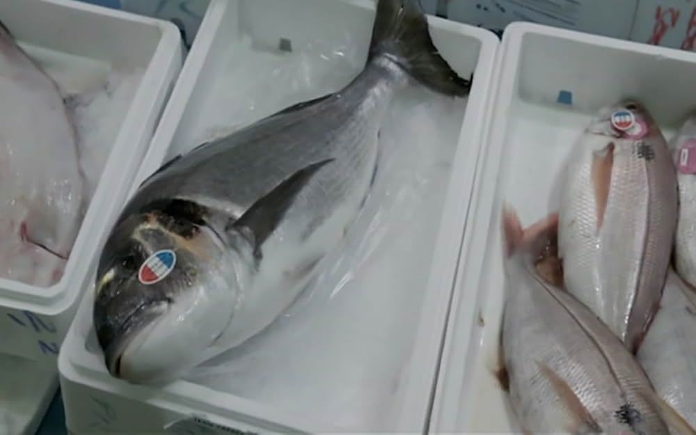 0円キッチンの画像