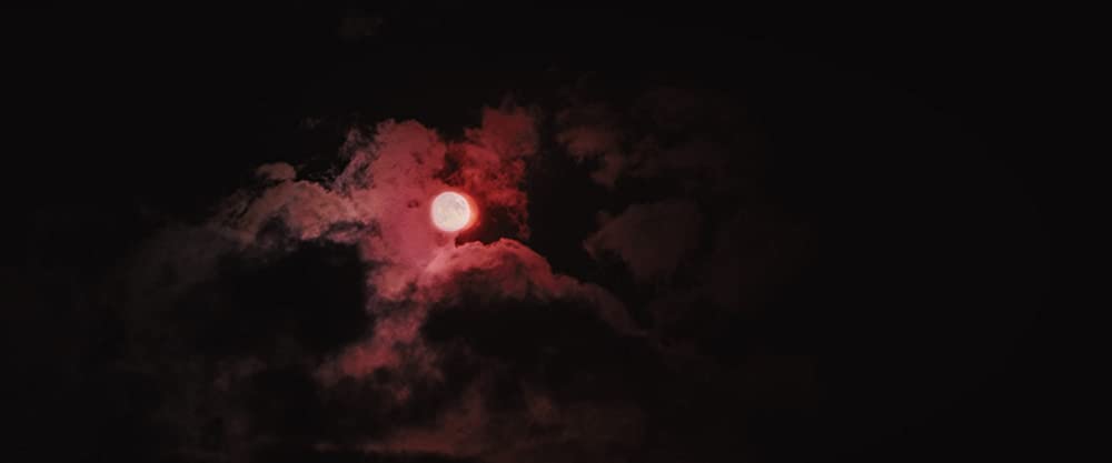 ナイト・ハウスの画像