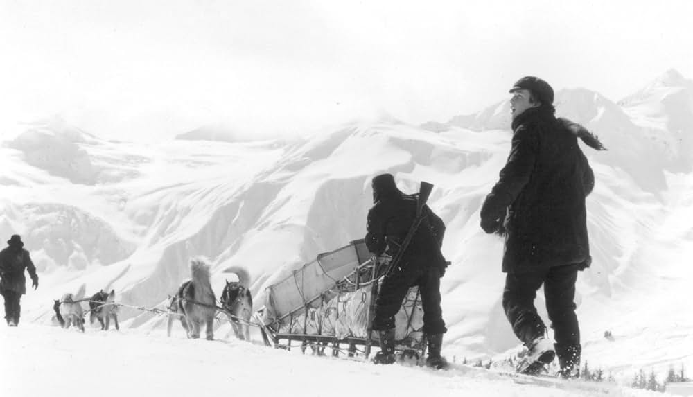 ホワイトファングの画像