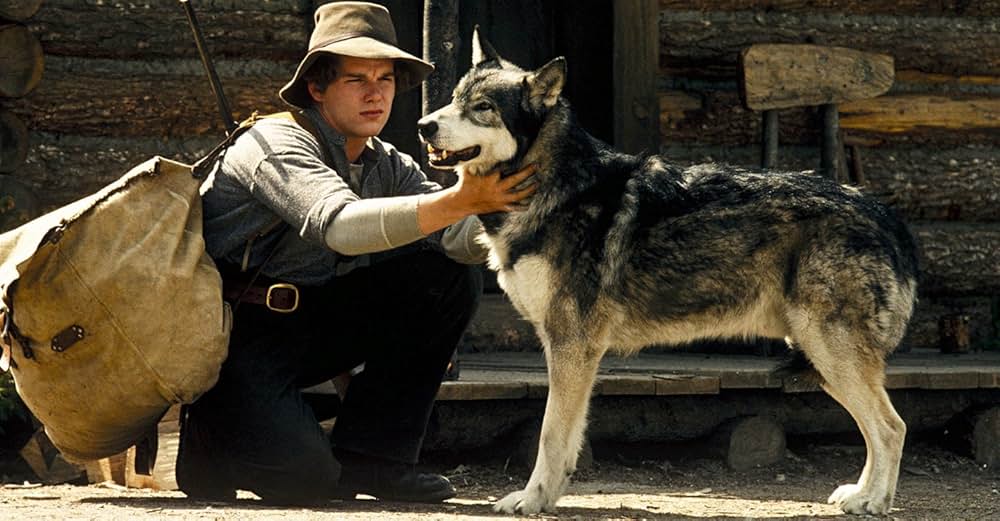 ホワイトファングの画像