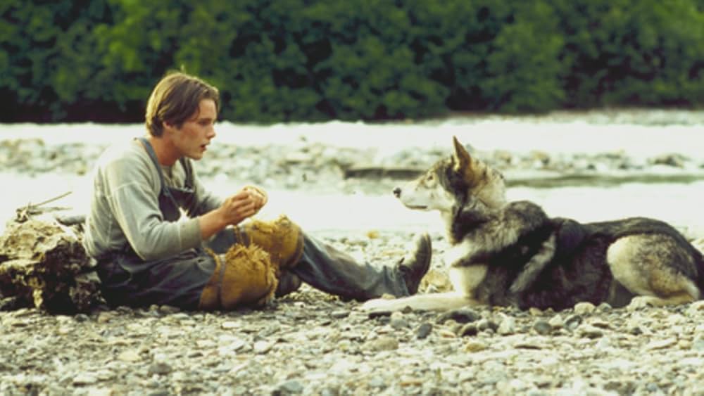 ホワイトファングの画像