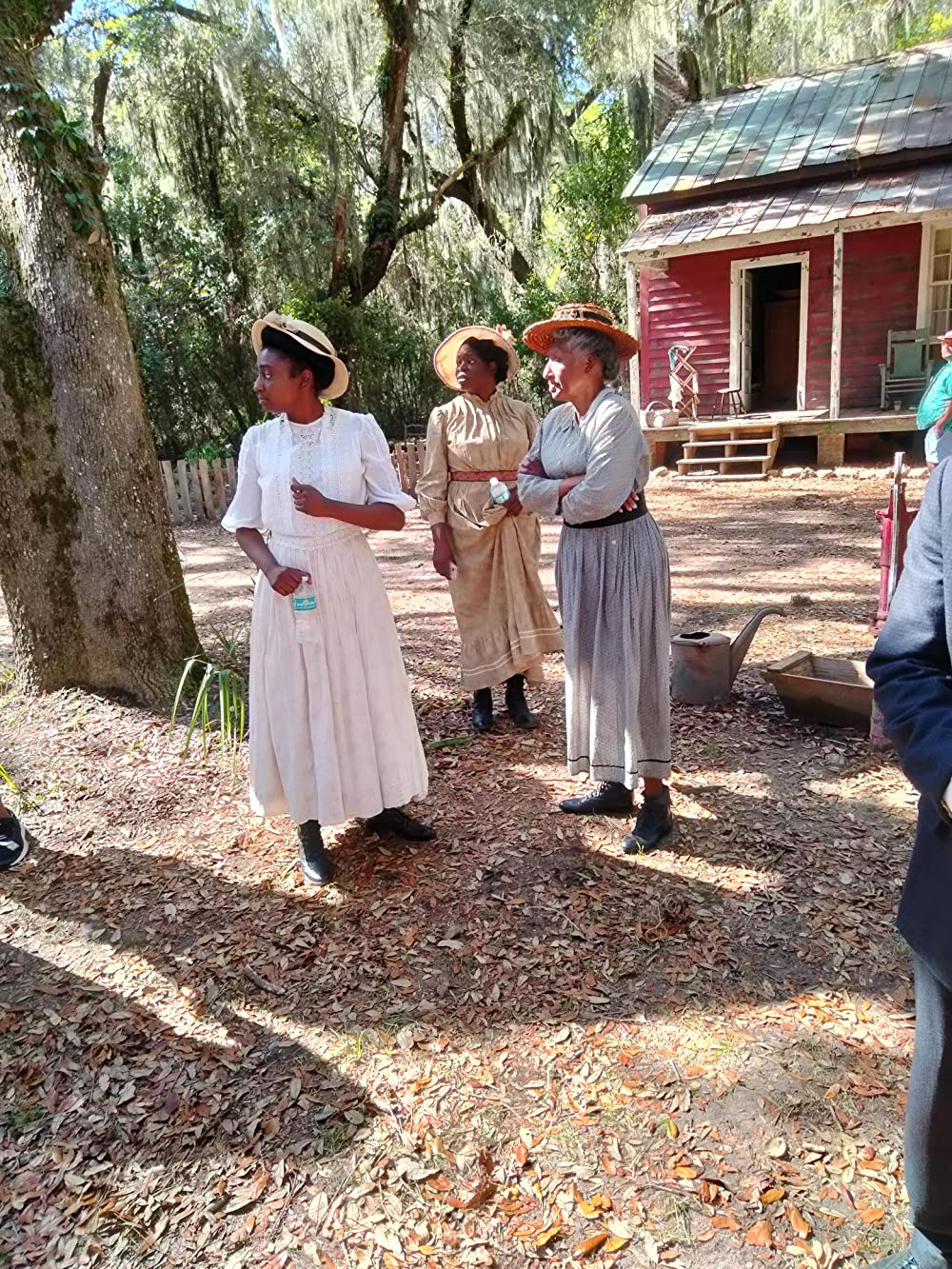 カラーパープルの画像