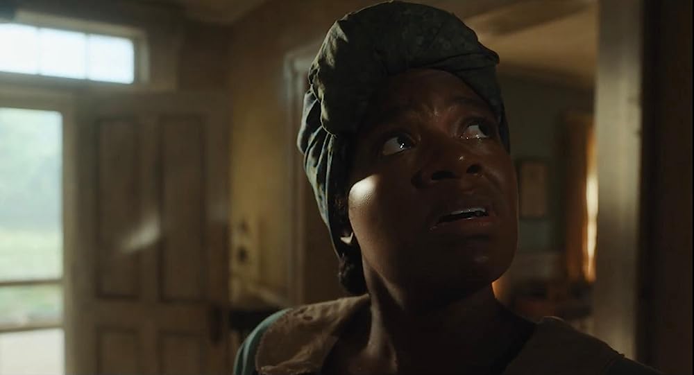 カラーパープルの画像