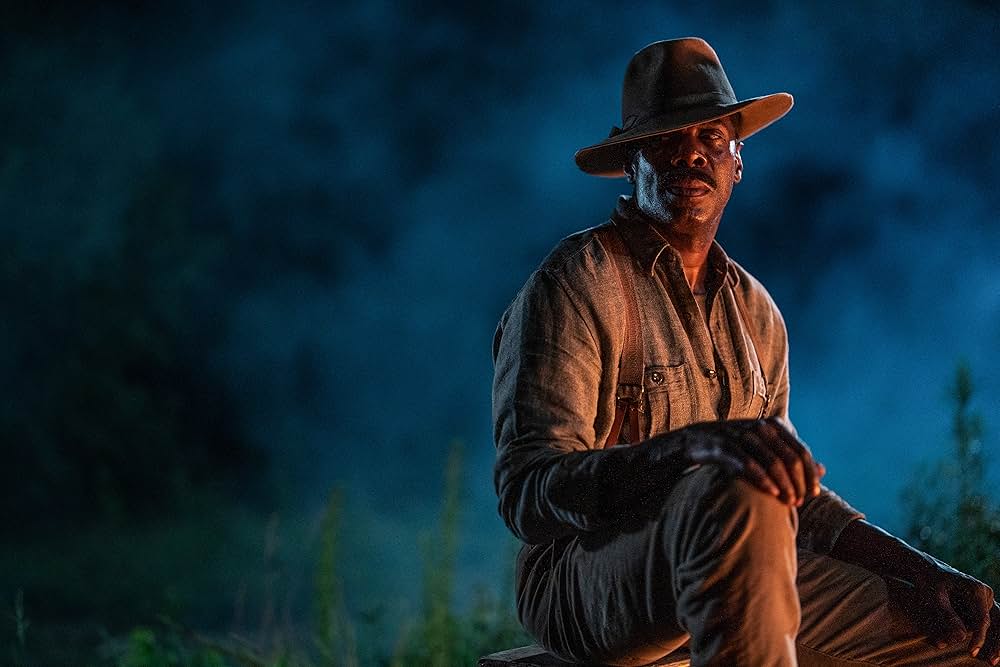 カラーパープルの画像