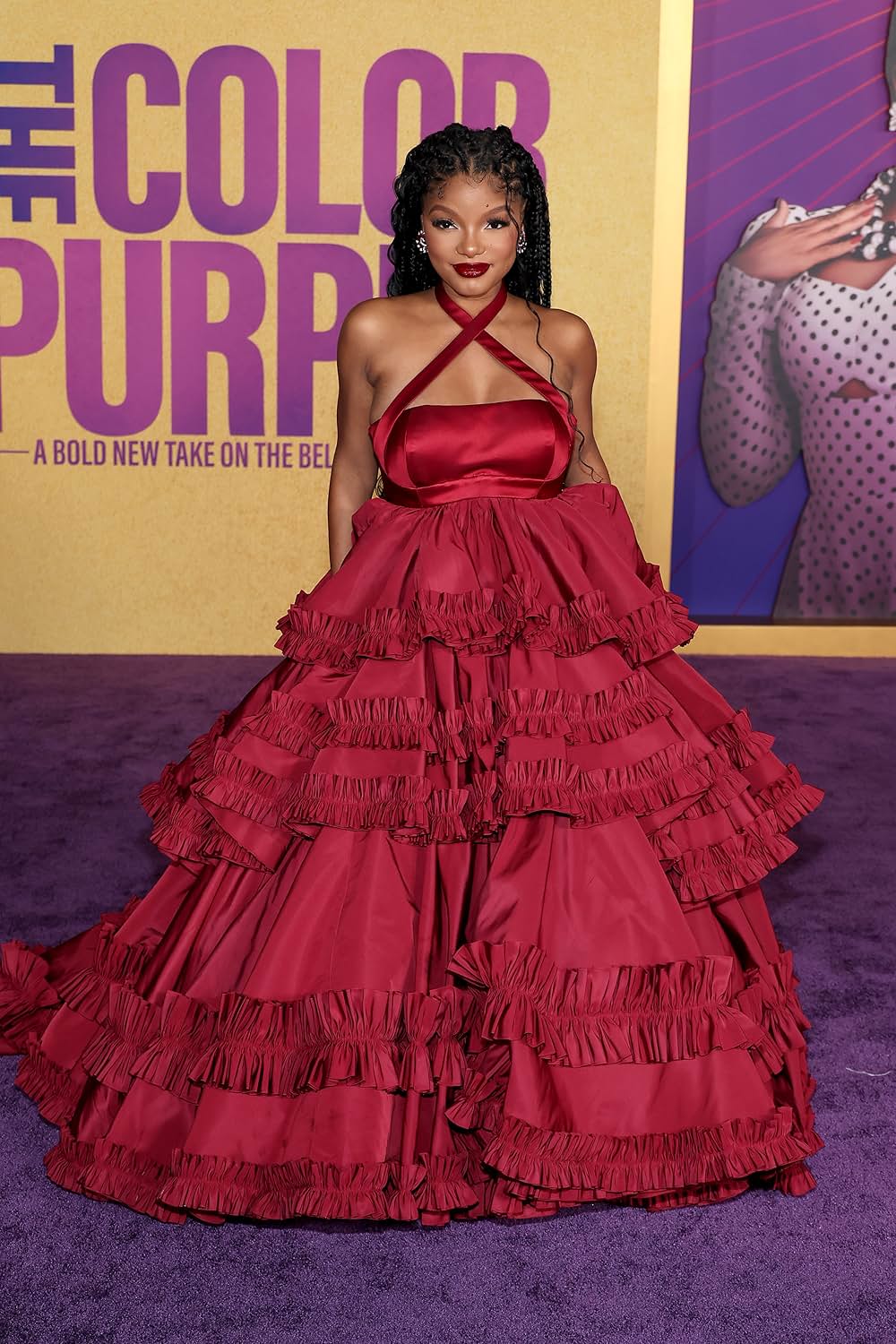 カラーパープルの画像