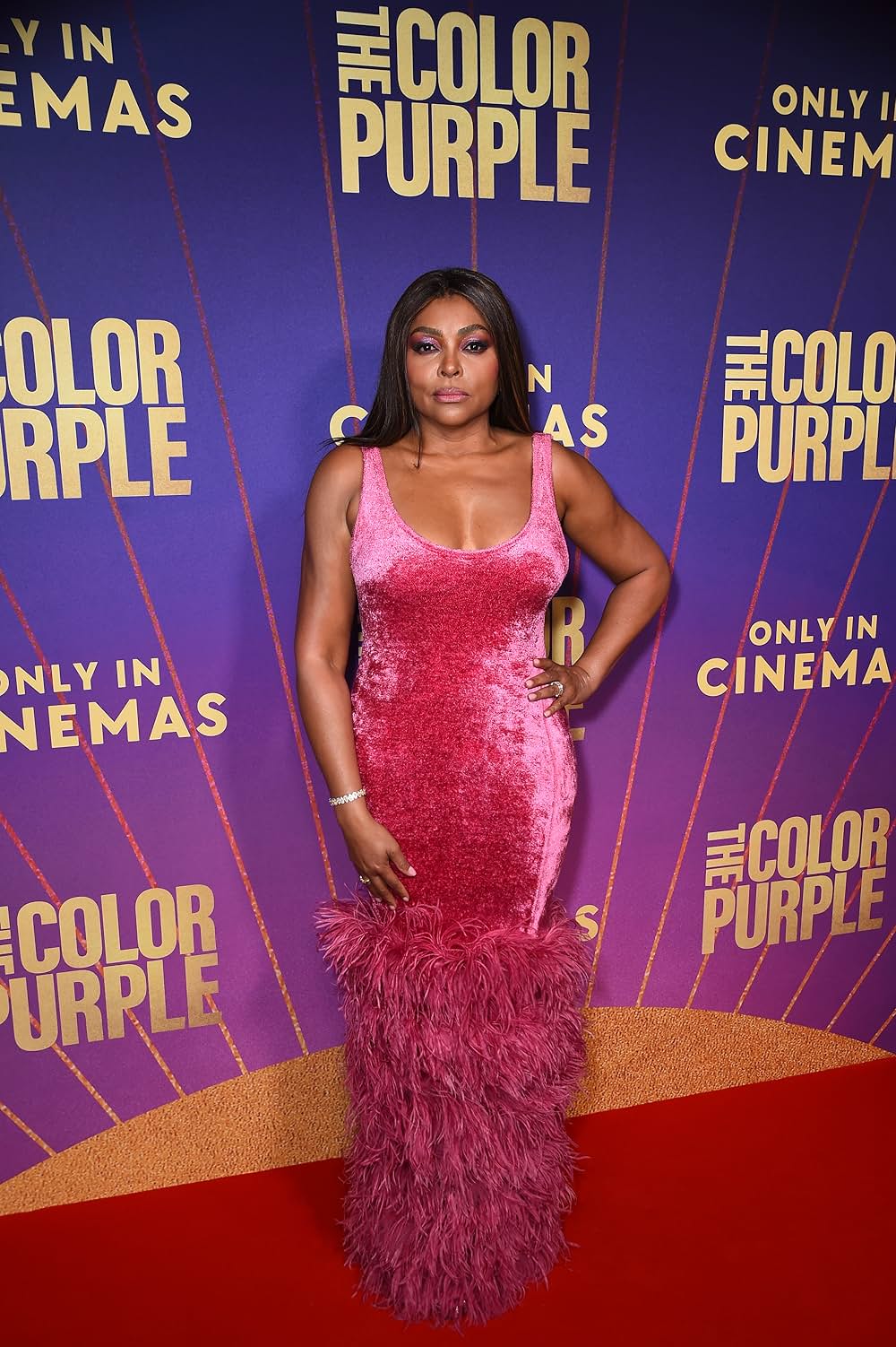 カラーパープルの画像