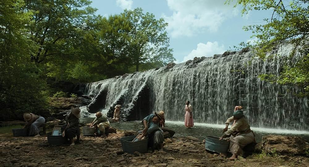 カラーパープルの画像