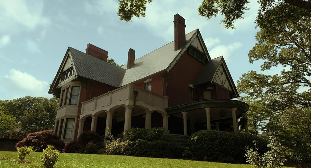 カラーパープルの画像