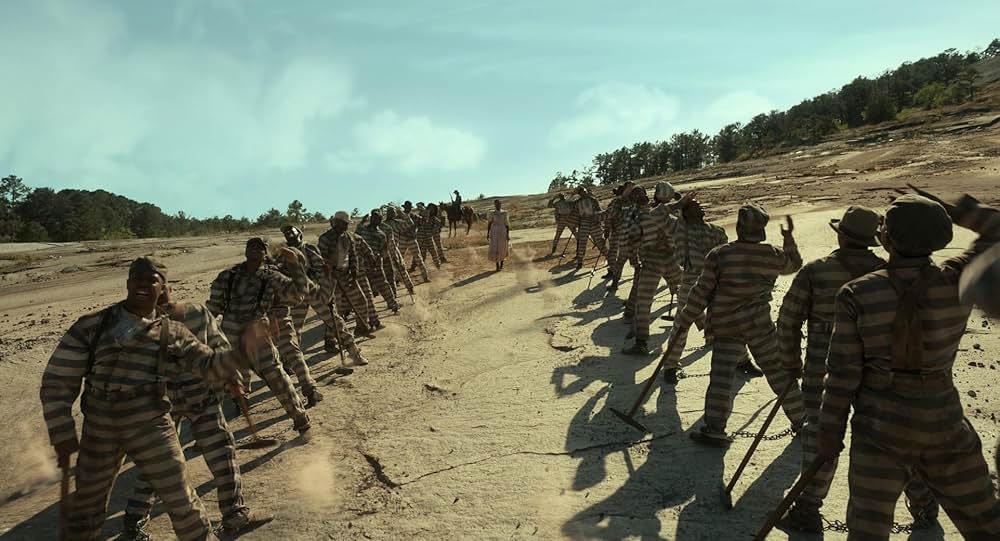 カラーパープルの画像