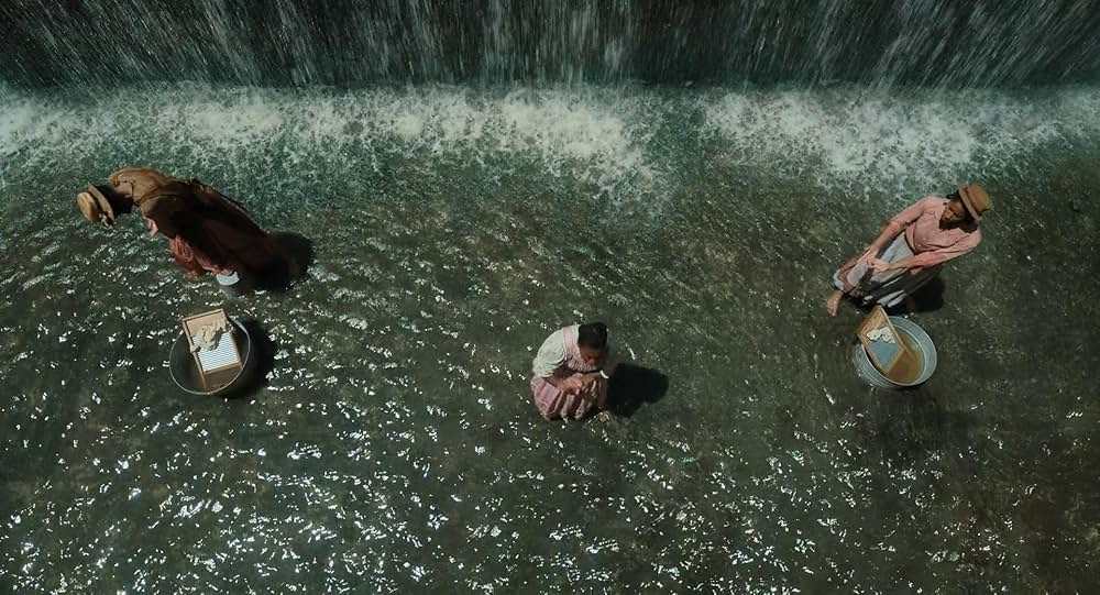 カラーパープルの画像