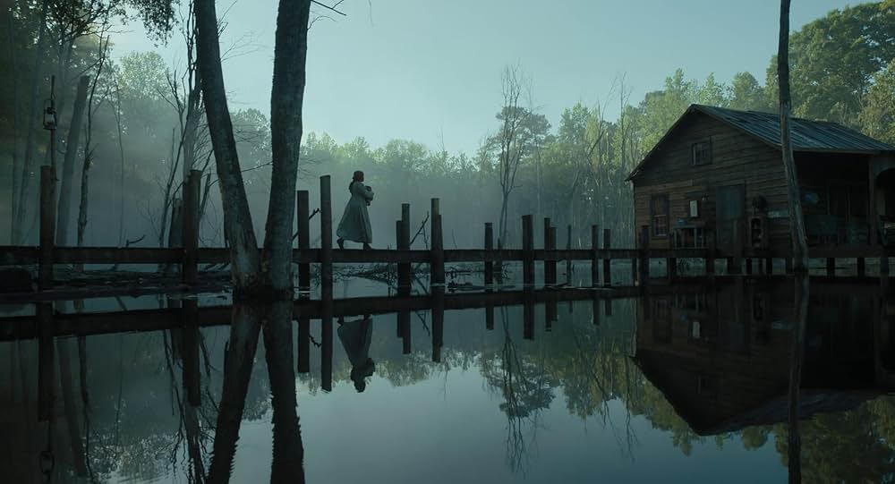 カラーパープルの画像