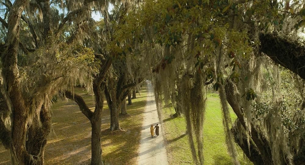 カラーパープルの画像