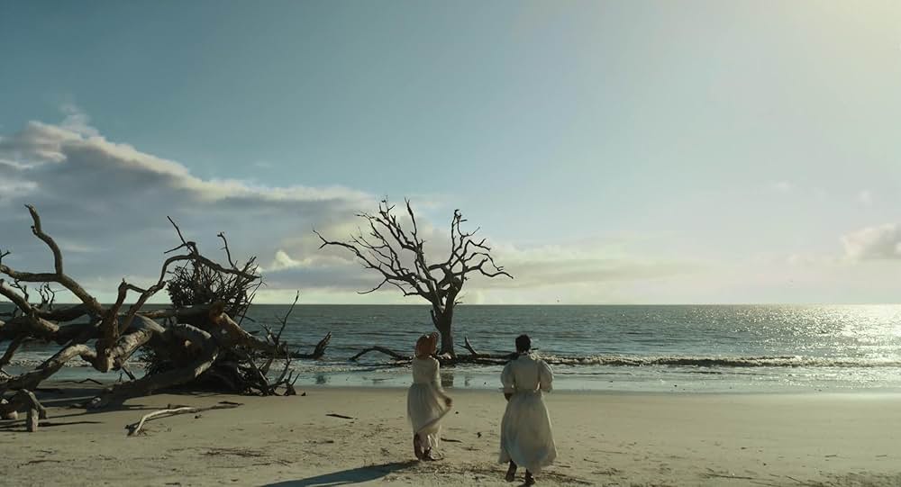 カラーパープルの画像