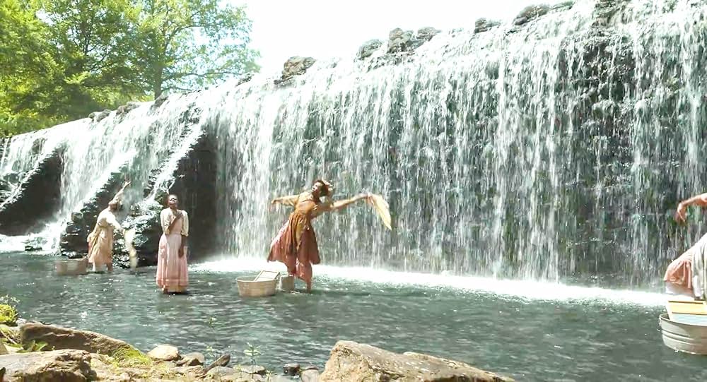 カラーパープルの画像