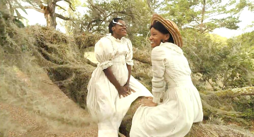 カラーパープルの画像