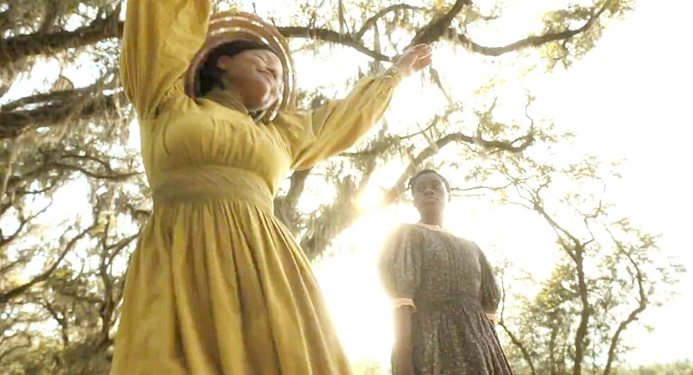 カラーパープルの画像